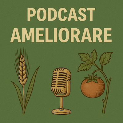 Ameliorare Cover